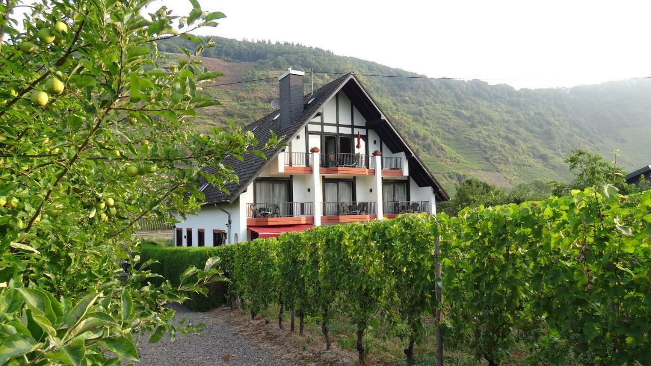 Haus Weingarten Appartements-Zimmer Ernst Room photo